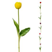 KS TULIPÁN MIX 6F 40CM - FLORASYSTEM