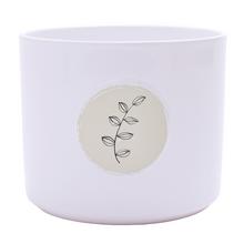 OBAL BOTANIC FRIENDS BUDS 13XV11CM - FLORASYSTEM