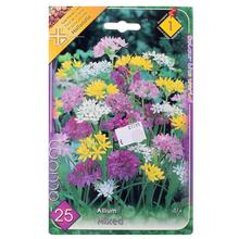 ALLIUM MIX II - FLORASYSTEM