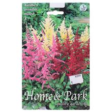 Balenie cibuľovín Astilbe Mix, 3 kusy.