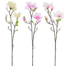 KONÁR MAGNÓLIA 3F 76CM - FLORASYSTEM