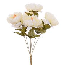 Kytica pivónie v krémovej farbe s piatimi kvetmi.