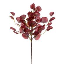 KS EUKALYPTUS BRODO 49CM - FLORASYSTEM