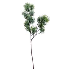 Konár čečiny bielozelenej 45 cm.