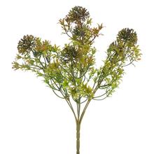 ZÁPICH BODLIAK ORANŽOVÝ 30cm - FLORASYSTEM