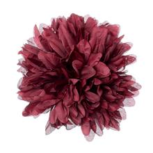 HLAVA CHRYZA. BORDO P:15CM BAL:12KS - FLORASYSTEM