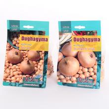 Cibuľa sadzačka Sturon a Stuttgart, 0,5 kg