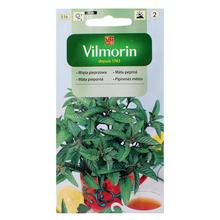 Semená mäty piepornej v obale.