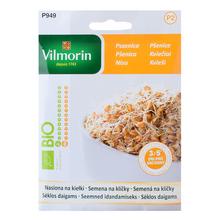 BIO PŠENICA na klíčky 40g - FLORASYSTEM