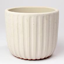 AKCIA OBAL Dante okrúhly krém 24xV27CM - FLORASYSTEM