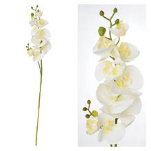 KS ORCHIDEA BIELA 88CM - FLORASYSTEM