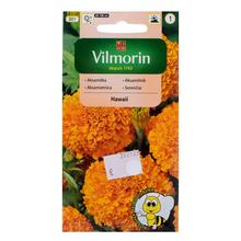 Semená akasamietnice oranžovej HAWAI 1g.