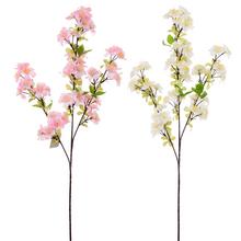 Konár čerešne mix s ružovými a bielymi kvetmi.