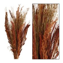 Sušená kytica v červenej farbe s výškou 100 cm.