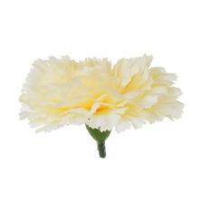 HLAVA KARAFIÁT WH101 7CM - FLORASYSTEM