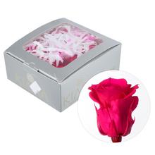 Ruža preparovaná 3,5cm HOT PINK /ks - FLORASYSTEM