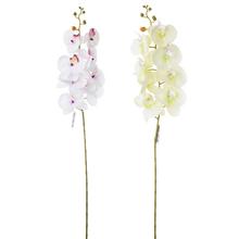 ORCHIDEA 2F 98CM - FLORASYSTEM