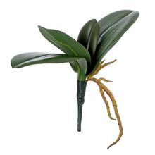 Umelé listy orchidey s dĺžkou 25 cm.