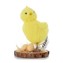 Žlté kuriatko na drevenom podklade s vajíčkami a pierkom.