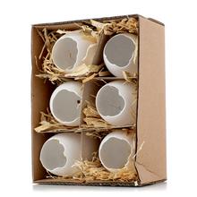 Biely plastový box s otvorenými škrupinkami, obsahuje 6 kusov.