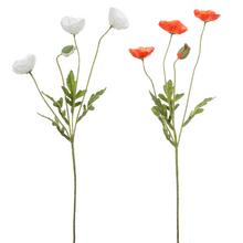 KS PAPAVER 4-ST 2F 60CM - FLORASYSTEM