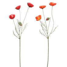 KS PAPAVER 4-ST 2F 60CM - FLORASYSTEM