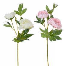 Umelé kvety pivónie v bielej a ružovej farbe.