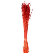 Stabilizované kvety Bríza medium v červenej farbe, 100g.