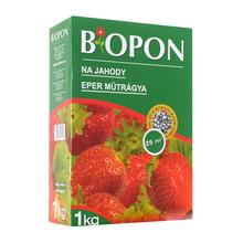 BOPON 1kg - JAHODY A LESNÉ JAHODY b1060 - FLORASYSTEM