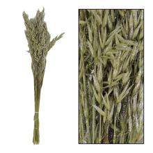 Avena nature SILVER 66x18x4cm - FLORASYSTEM