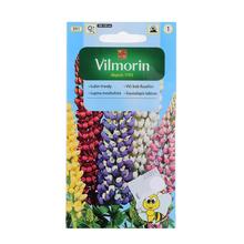 Semená lupiny mnoholistej v obale.