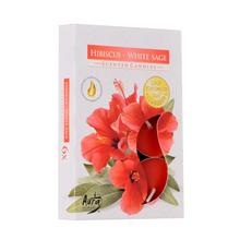 Sviečky s vôňou hibiskusu a bielej šalvie.