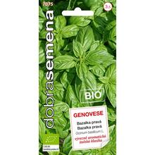 BAZALKA PRAVÁ GENOVESE BIO 0,6g - FLORASYSTEM