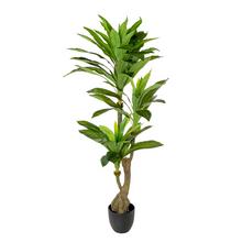 Umelý dracena strom v plastovom kvetináči, zelený, 140 cm.