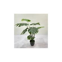 Umelá Monstera v plastovom kvetináči, zelená, 110 cm.