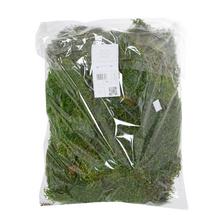 Mach Ice moss flat 500g /box - FLORASYSTEM