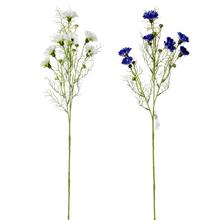 Umelé kvety Čakanka v bielej a modrej farbe, 73 cm vysoké.