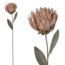 Umelé kvety protea v ružovej a béžovej farbe, 71 cm.