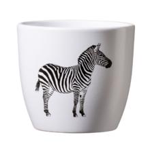 OBAL SAFARI ZEBRA 10CM - FLORASYSTEM