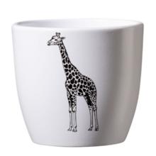 Obal na kvetináč so vzorom žirafy.