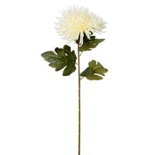 Umelá chryzantéma v krémovej farbe s dlhým stonkom.