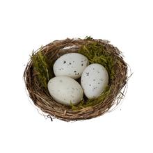 Hniezdo s tromi bielymi vajíčkami