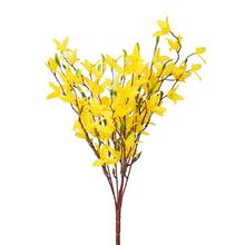 Kytica zlatého dážďa s žltými kvetmi.