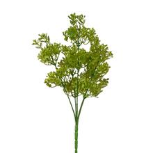 Zápich bupleurum bledo-zelená 30cm