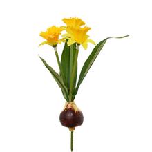 Umelé kvety narcis s cibuľou žlté, balenie 3 kusy.