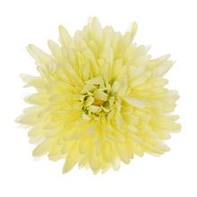 Umelá chryzantéma v krémovej farbe s priemerom 16 cm.
