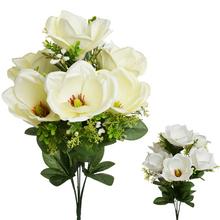 Kytica magnólie s bielymi kvetmi a zelenými listami.