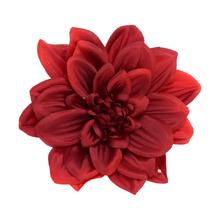Umelá kvetina hlava dahlia v tmavočervenej farbe.