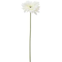 Biela umelá gerbera s dlhým stonkom.