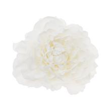 Hlava pivónie biela, umelá kvetina, 4 cm.